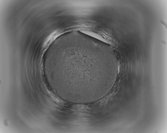 X0000096420339200801241321