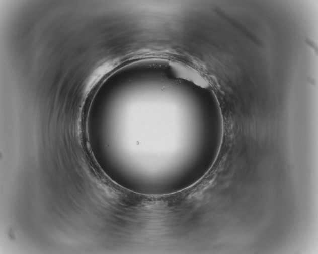 X0000096420340200801241321
