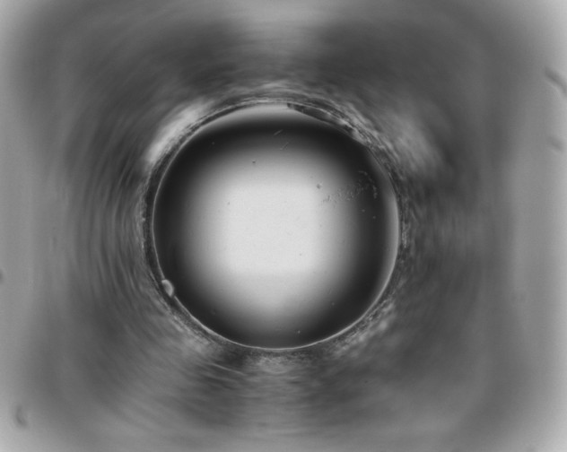 X0000096420341200801241322