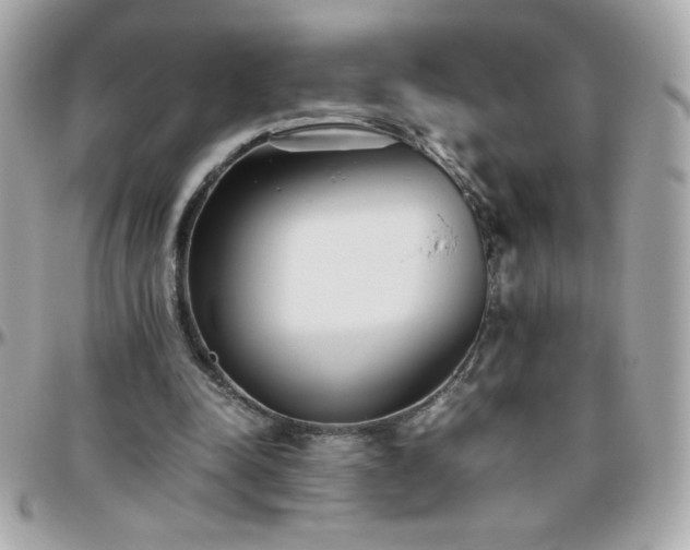 X0000096420342200801241322