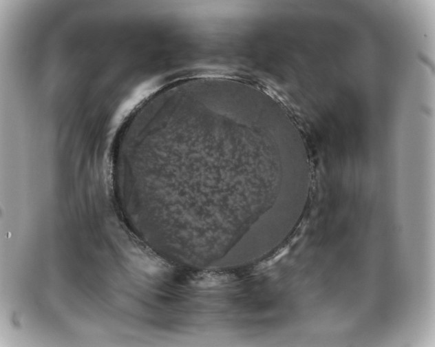 X0000096420343200801241322