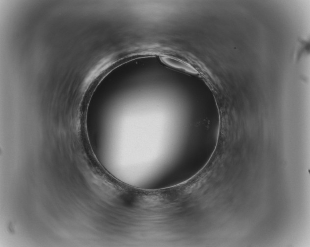 X0000096420344200801241322