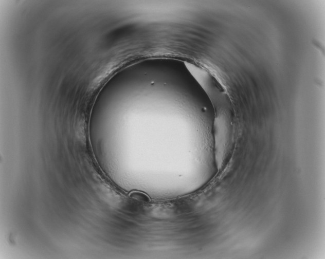 X0000096420345200801241322