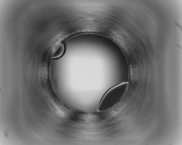X0000096420348200801241322