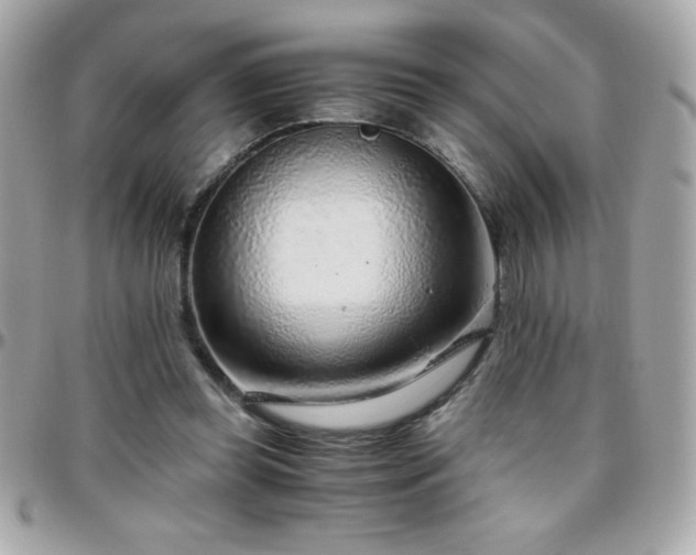 X0000096420349200801241322