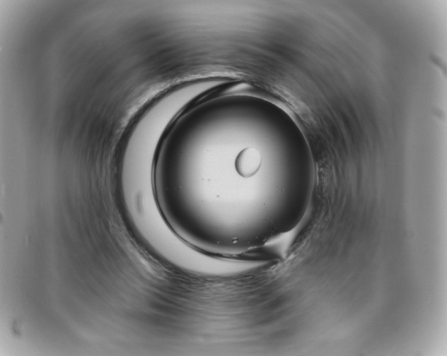 X0000096420350200801241322