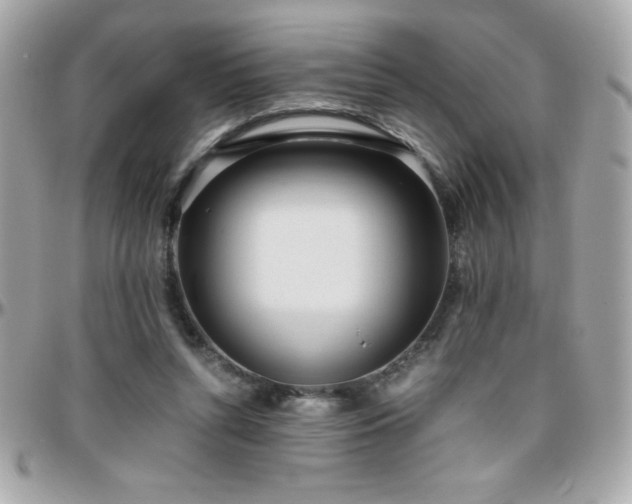 X0000096420352200801241322