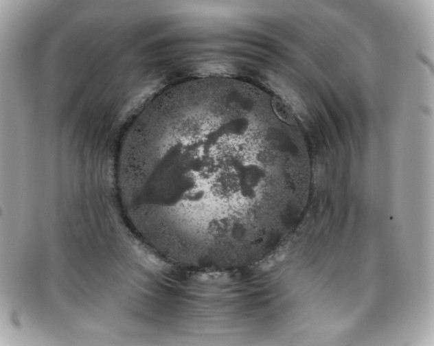 X0000096420353200801241322