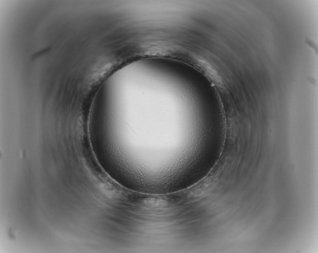 X0000096420354200801241322
