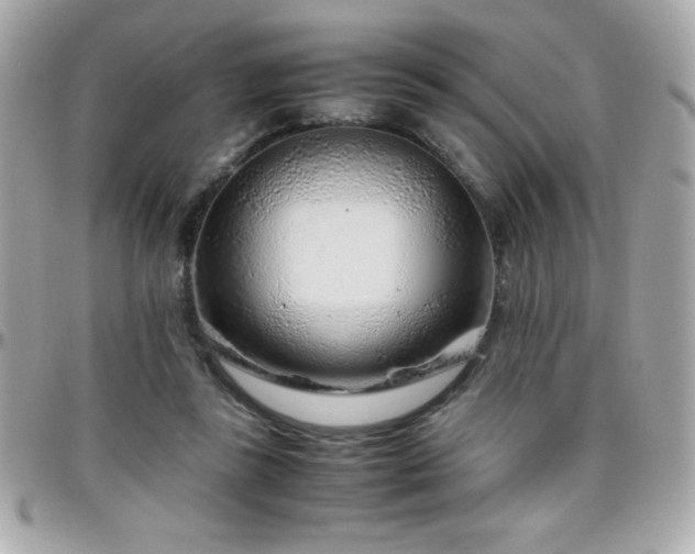 X0000096420355200801241322