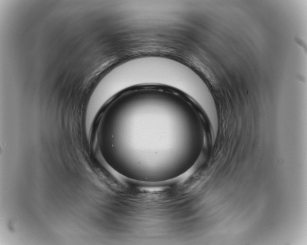 X0000096420356200801241322