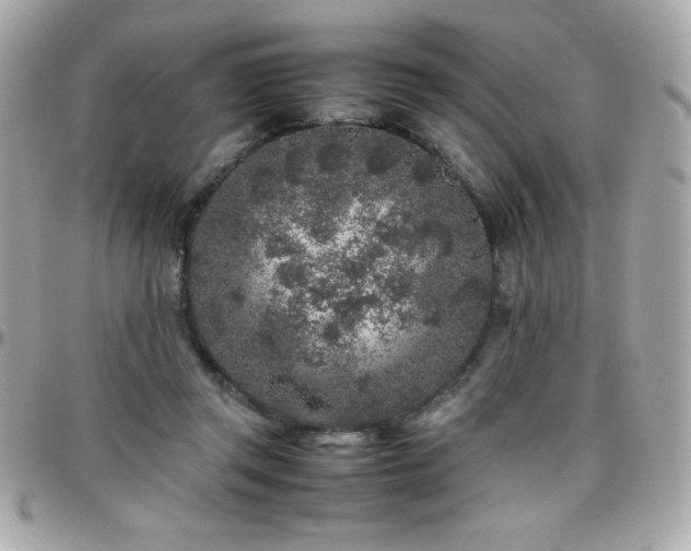 X0000096420357200801241322