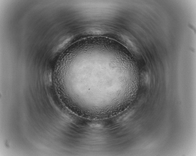 X0000096420358200801241322