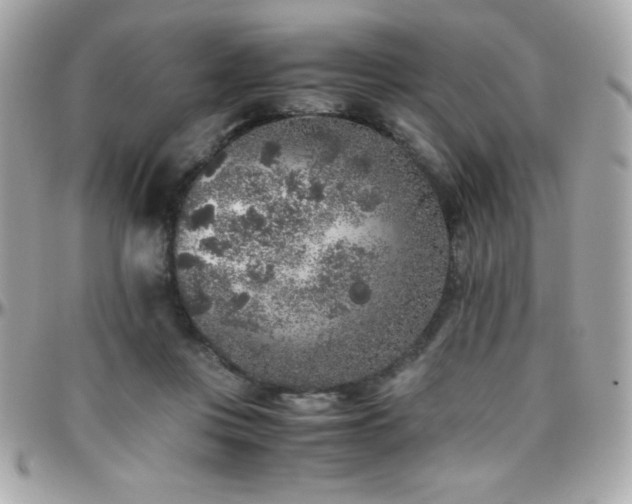 X0000096420359200801241322