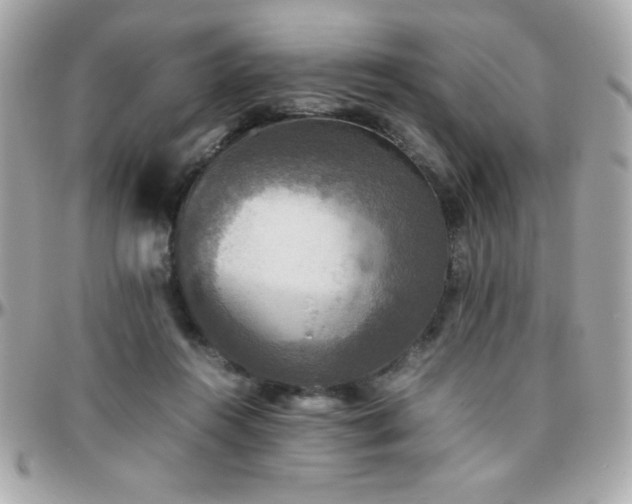X0000096420360200801241322