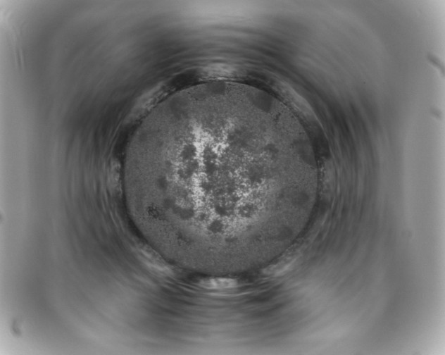 X0000096420361200801241322