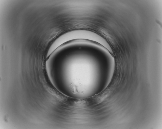 X0000096420362200801241322