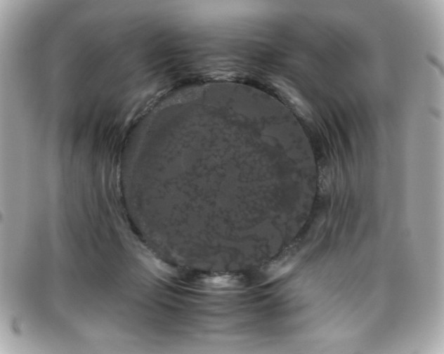 X0000096420365200801241322