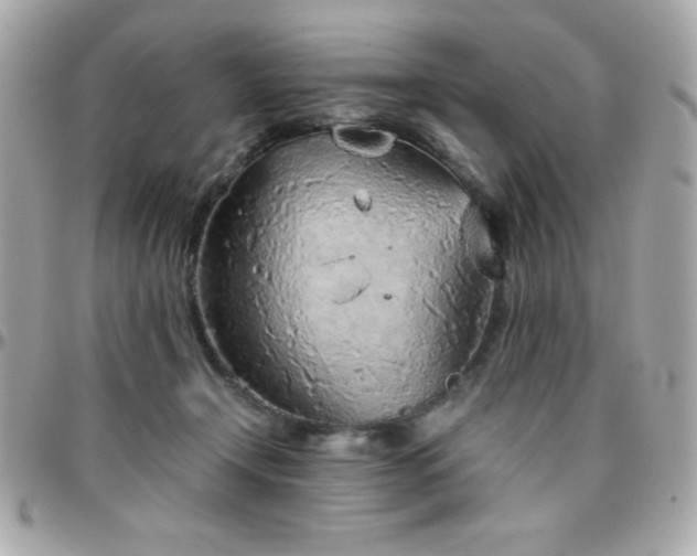 X0000096420366200801241322