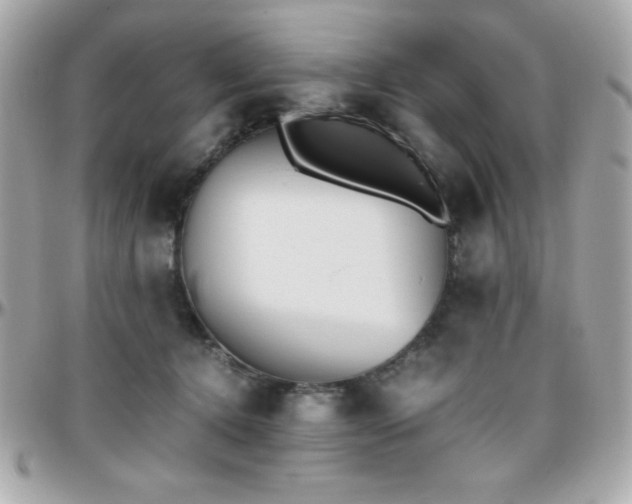 X0000096420368200801241322