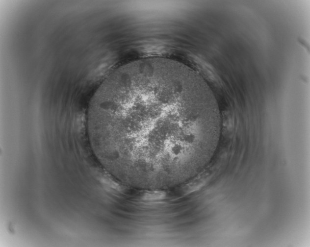 X0000096420369200801241322