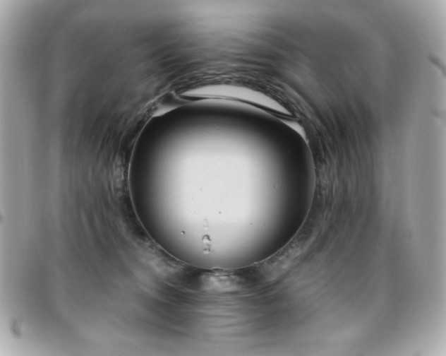 X0000096420372200801241322