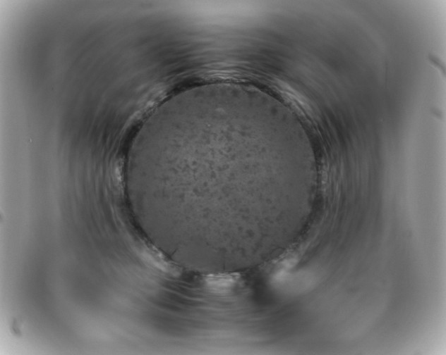 X0000096420373200801241322