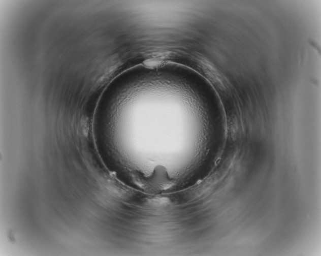 X0000096420374200801241322