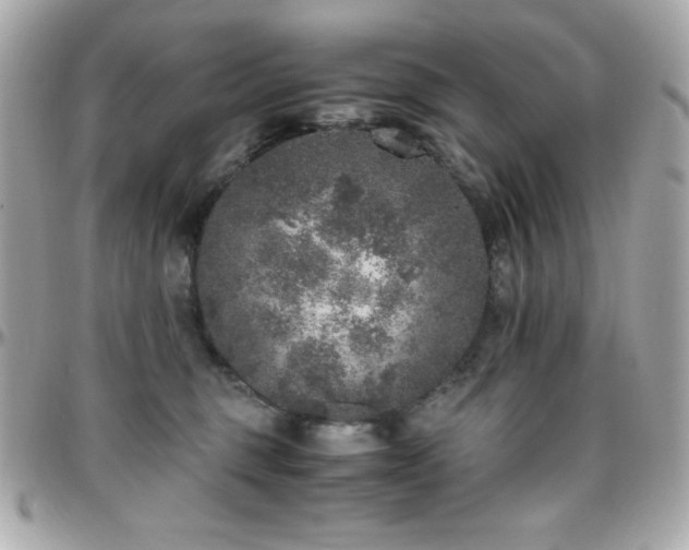 X0000096420375200801241322
