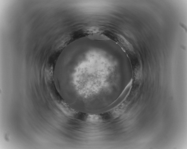 X0000096420376200801241322