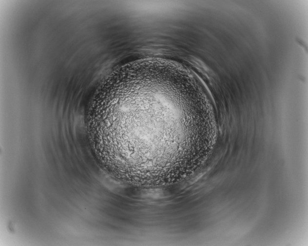 X0000096420377200801241322