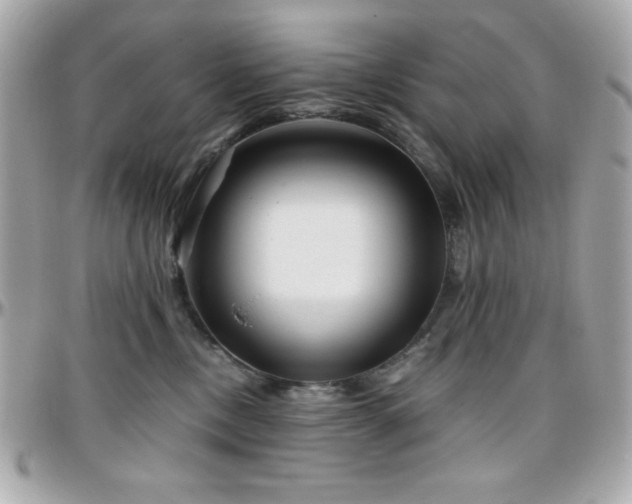 X0000096420378200801241322