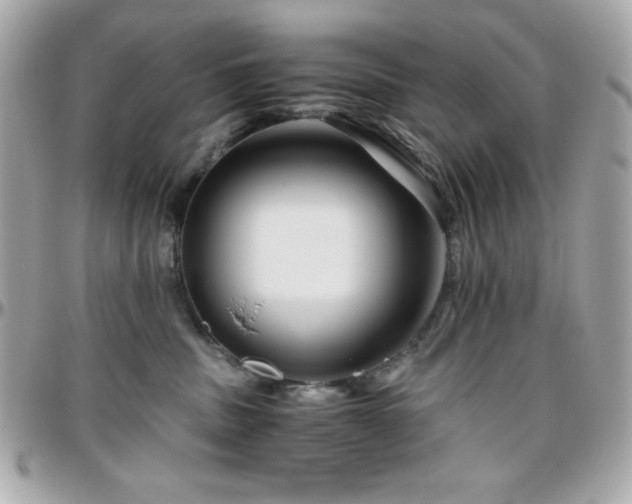 X0000096420379200801241322