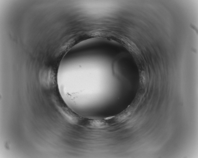 X0000096420380200801241322