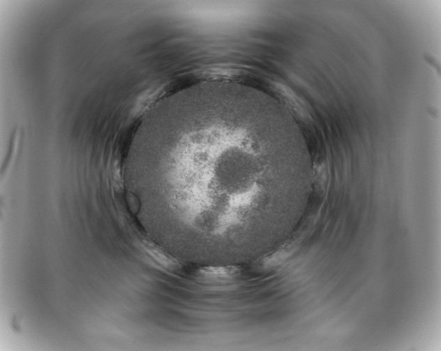 X0000096420381200801241322
