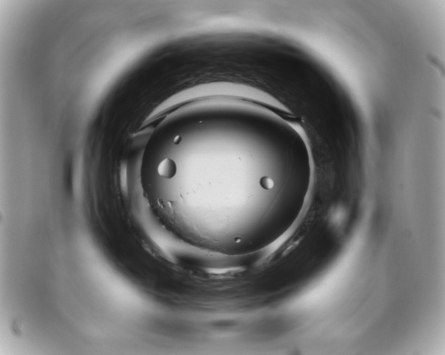 X0000096420382200801241322