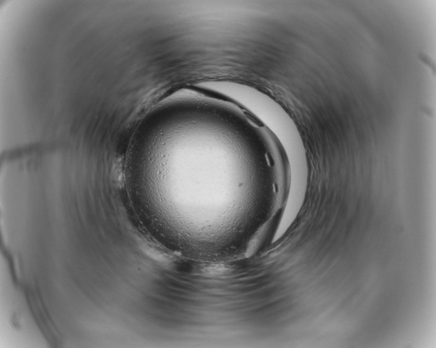 X0000096420383200801241322