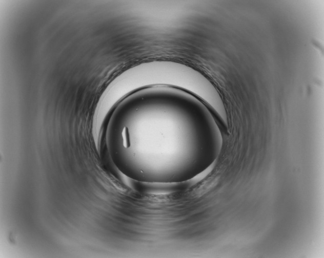 X0000096420384200801241322