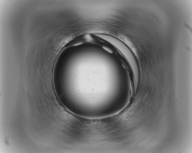 X0000096420385200801241321
