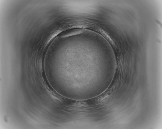 X0000096420386200801241321