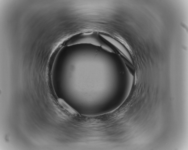 X0000096420387200801241321