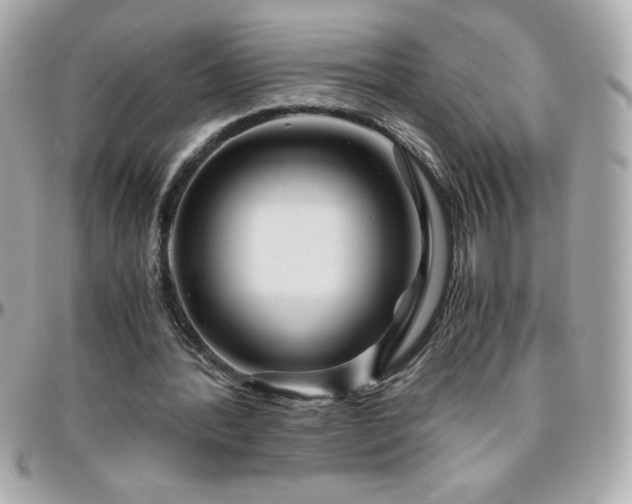 X0000096420388200801241321