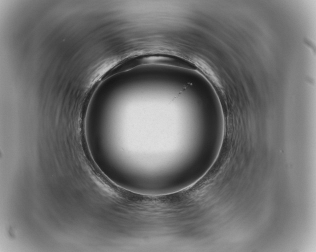 X0000096420389200801241321