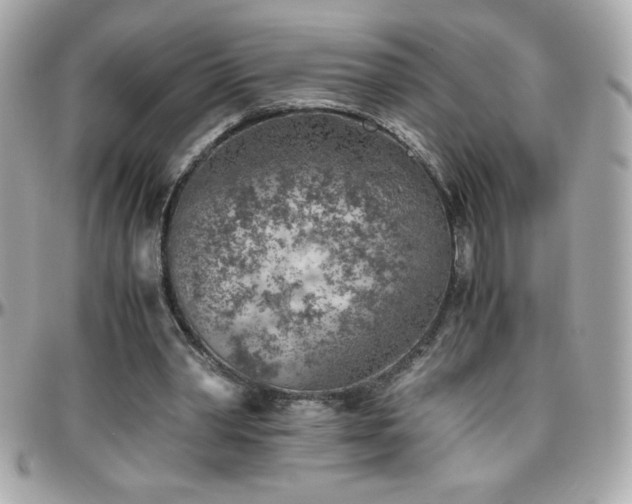 X0000096420390200801241321
