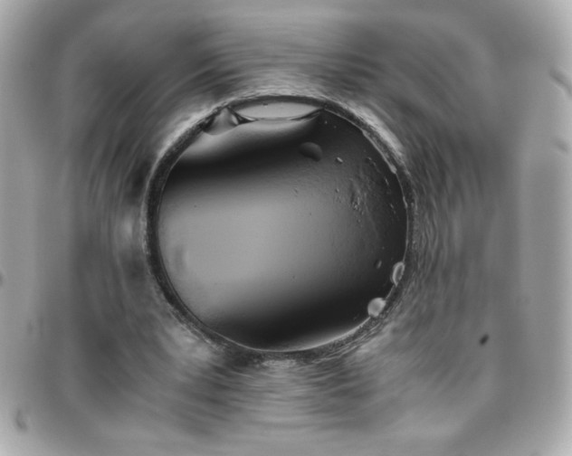 X0000096420391200801241321