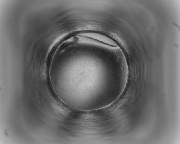 X0000096420392200801241321