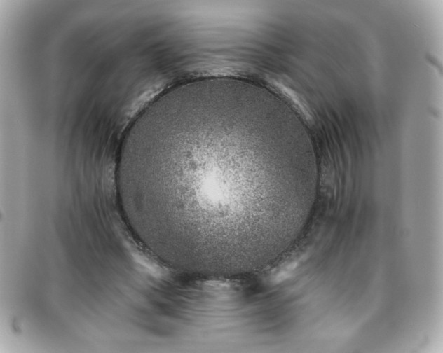 X0000096420394200801241321