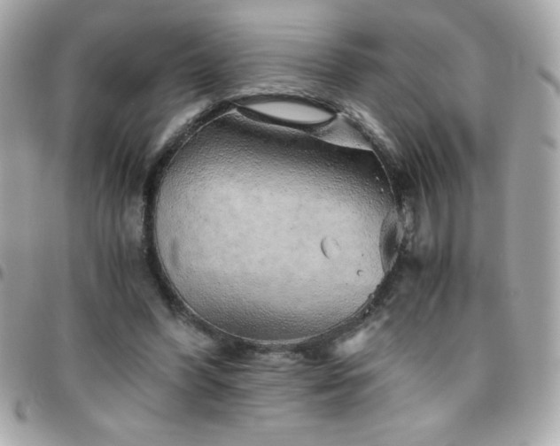 X0000096420396200801241321