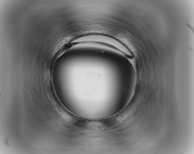 X0000096420397200801241321