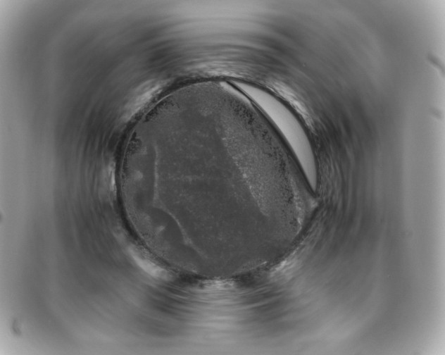 X0000096420398200801241321